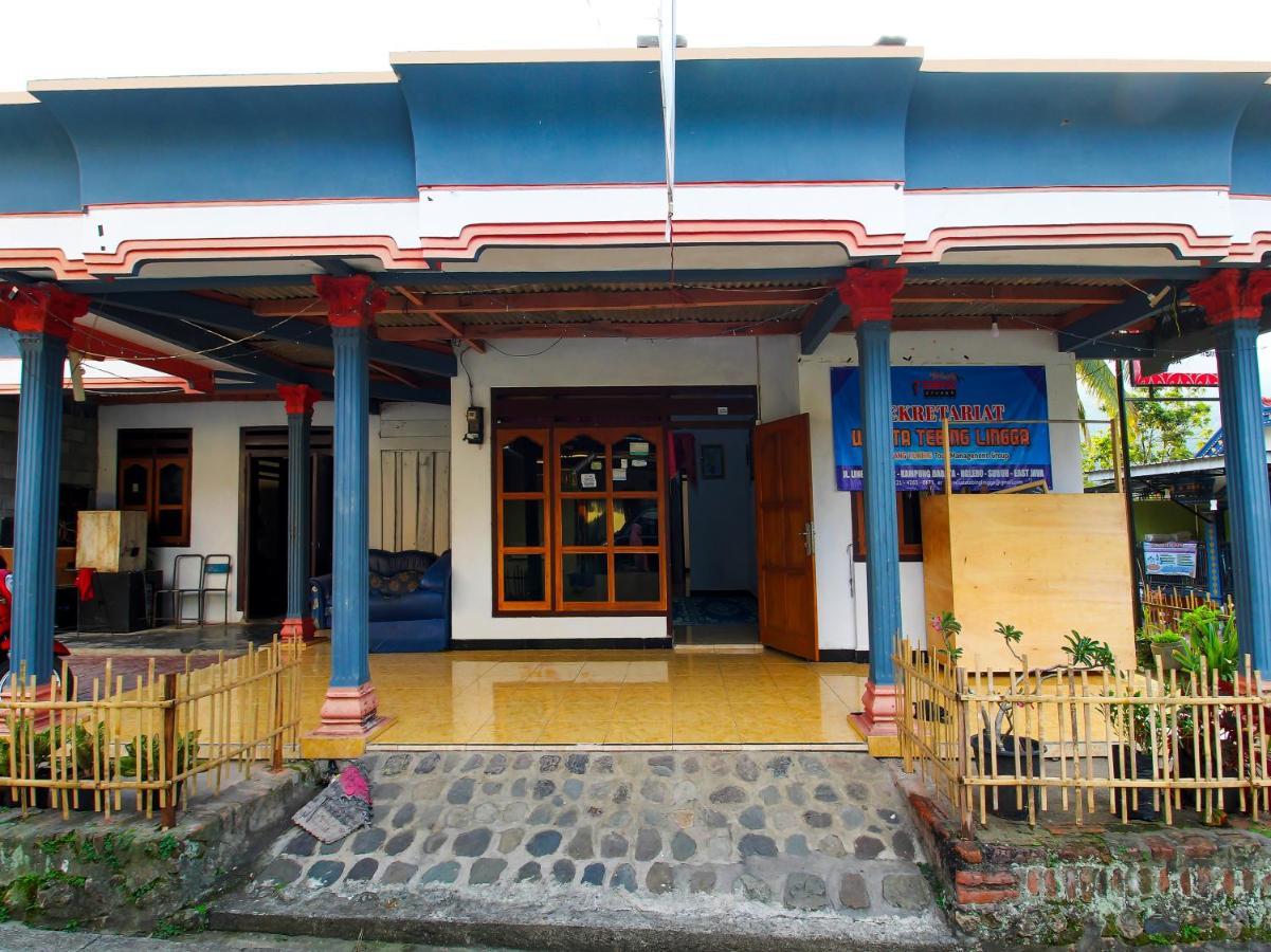 Oyo Homes 91134 Desa Wisata Tebing Lingga Trenggalek Εξωτερικό φωτογραφία